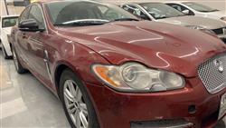 جاگوار XF